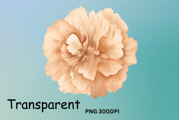 Carnation Flowers Clipart Sublimation for Crafts