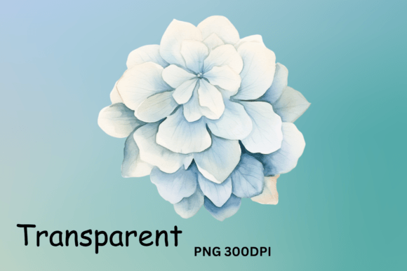 Hydrangea Flower Clipart for Crafts & Branding