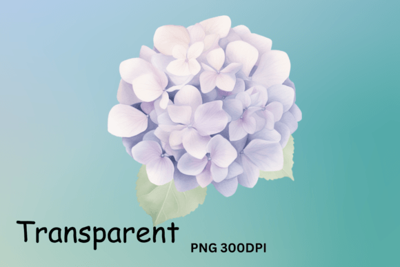 Hydrangea Flowers Clipart: A Designer’s Review