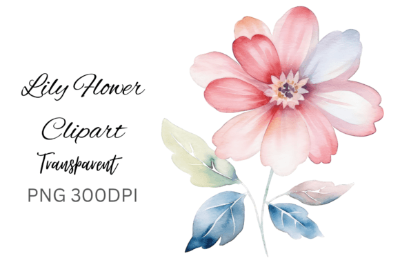 Lily Flower Clipart for Crafts & Design