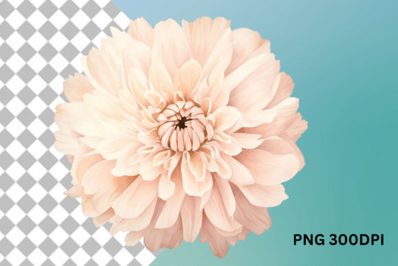 Marigold Flower Clipart for Crafts & DIY