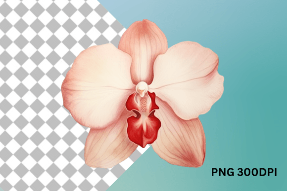 Orchid Flower Clipart for Crafts & Blogs