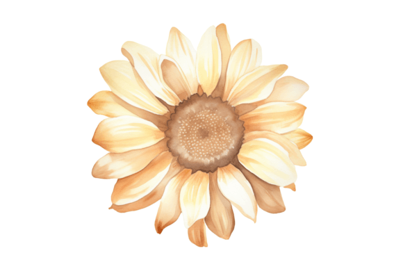 Sunflower PNG Clipart for Crafts & Sublimation